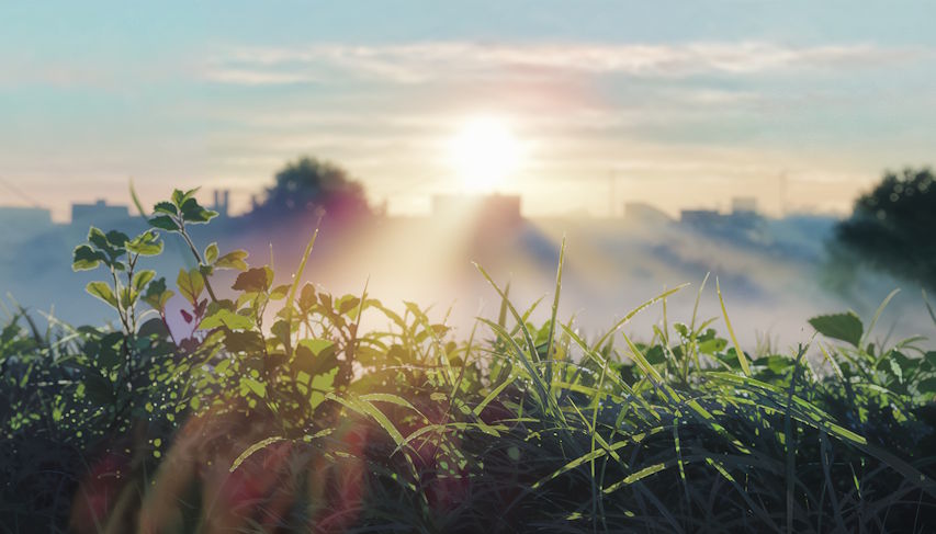 Bright Early Morning